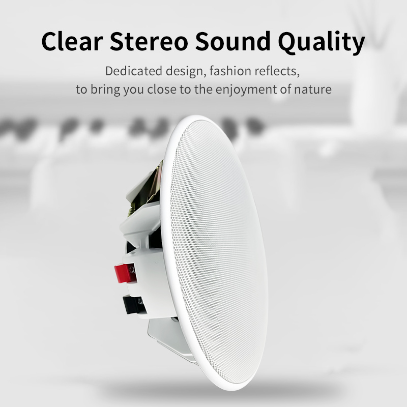 ลำโพงติดเพดานขนาด 6 นิ้ว 8 โอห - Audio Music System For Home บทวิจารณ์และราคา