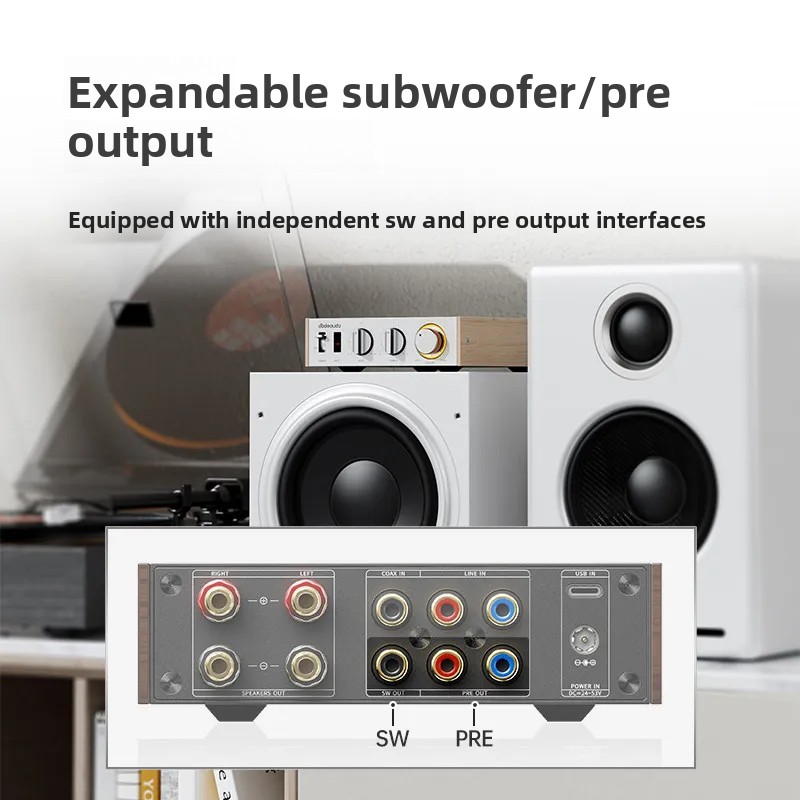 FiiO Horizon Level 1 เครื่องขย - Audio Music System For Home บทวิจารณ์และราคา